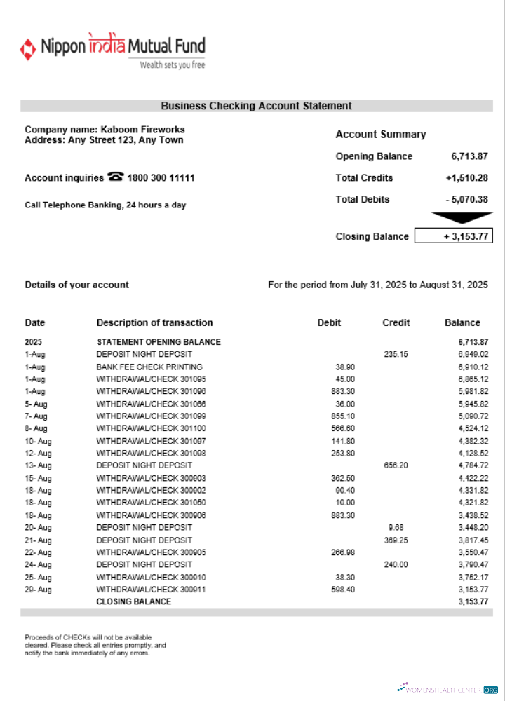 Download NIPPON organization checking account statement Word and PDF format Photoshop template